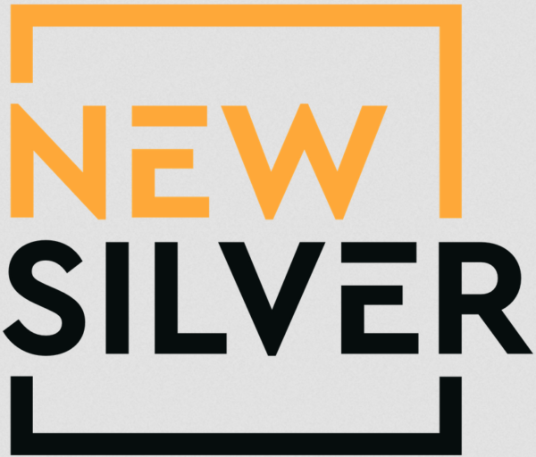 This is the logo of New Silver Lending, which is a non-bank fintech lender of real estate loans.